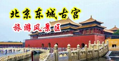 美女的屄和奶头喷水中国北京-东城古宫旅游风景区